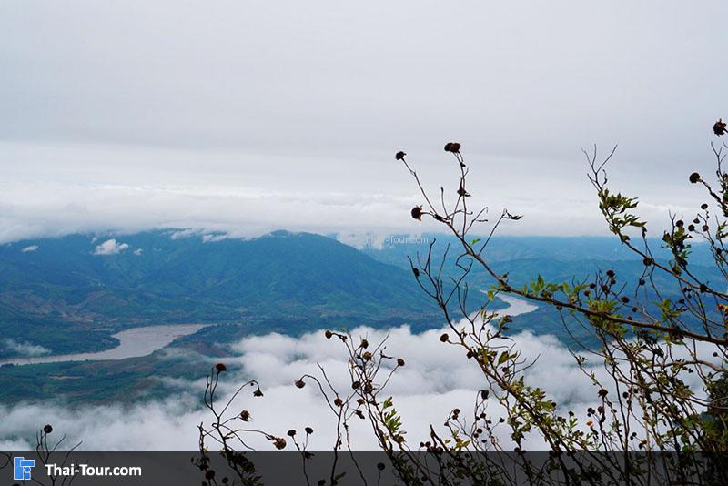 จุดชมวิวแม่น้ำกับทะเลหมอก