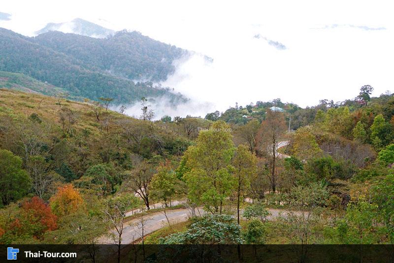 เส้นทางถนน ดอยผาตั้ง