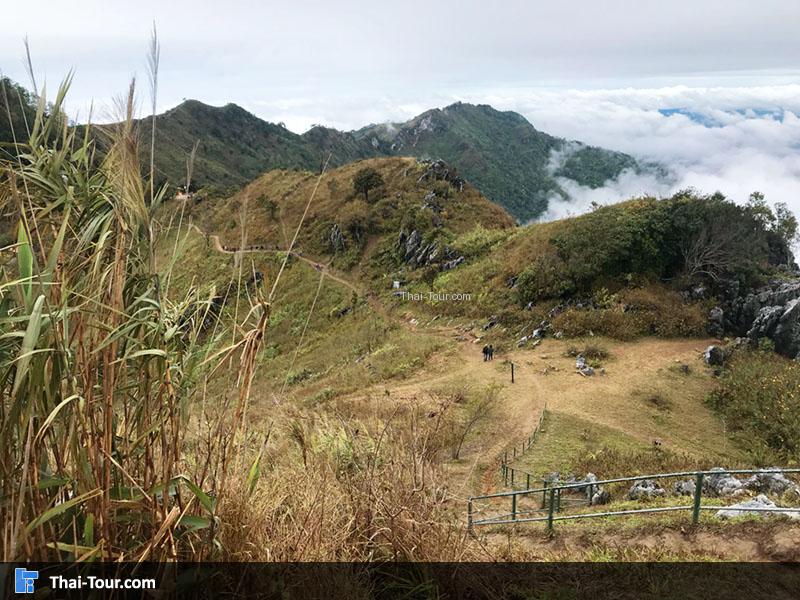 ถนนวิว ดอยผาตั้ง