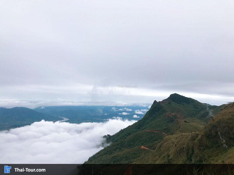 วิวผาตั้งทะเลหมอก