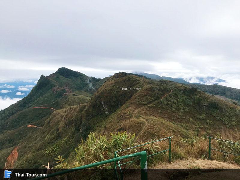 วิวผาตั้งทะเลหมอก