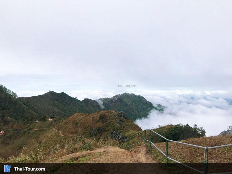 วิวผาตั้งทะเลหมอก