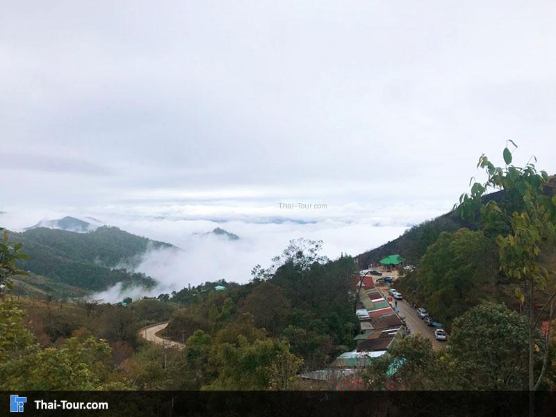 วิวผาตั้งทะเลหมอก