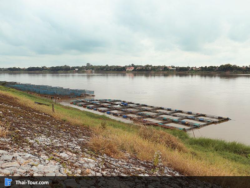 บรรยากาศริมแม่น้ำ