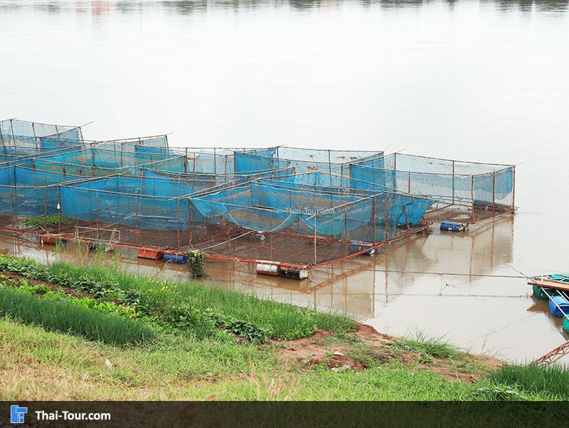 หมู่บ้านประมงน้ำจืด