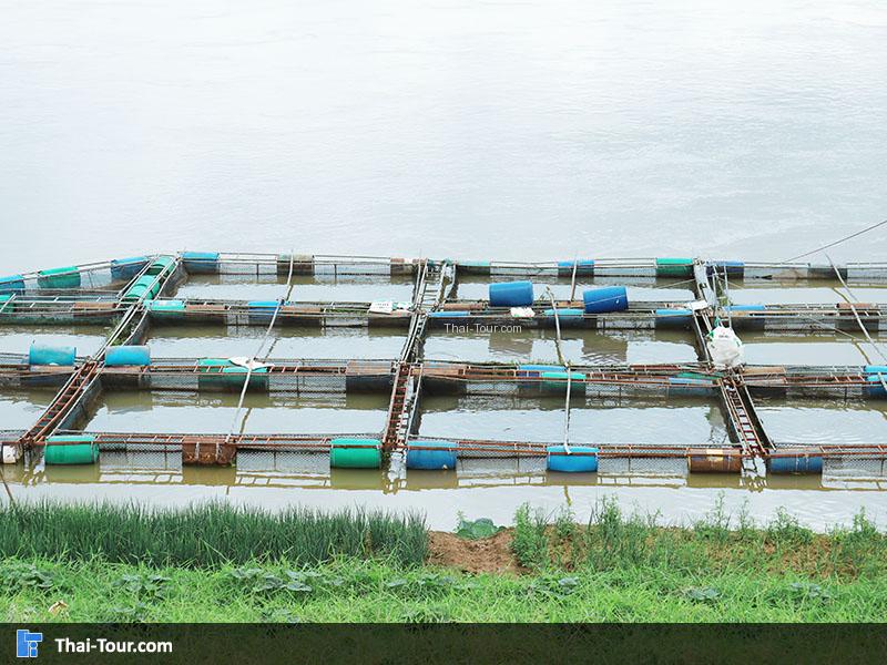 หมู่บ้านประมงน้ำจืด