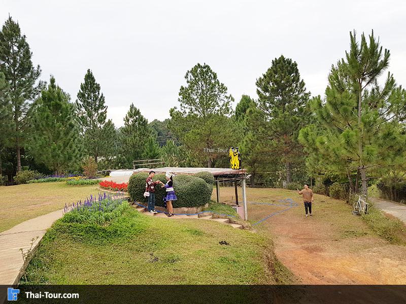 วิว 360 องศา