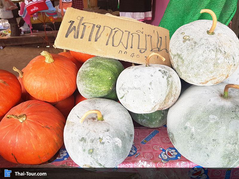 ฟักทองญี่ปุ่น