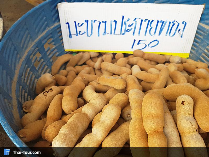 มะขามประกายทอง ของขึ้นชื่อ