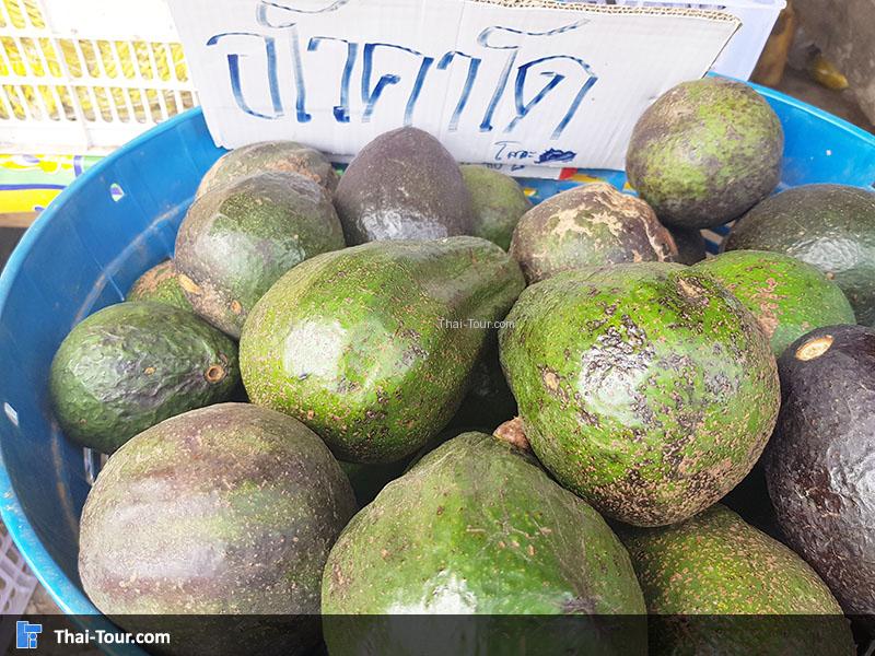 อโวคาโด้