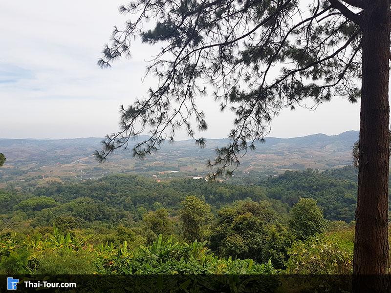 วิวสวยๆๆ กับแผงของฝากริมสีม่วง