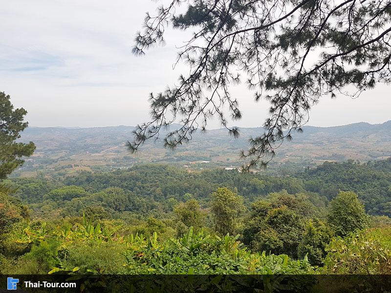 วิวสวยๆๆ กับแผงของฝากริมสีม่วง