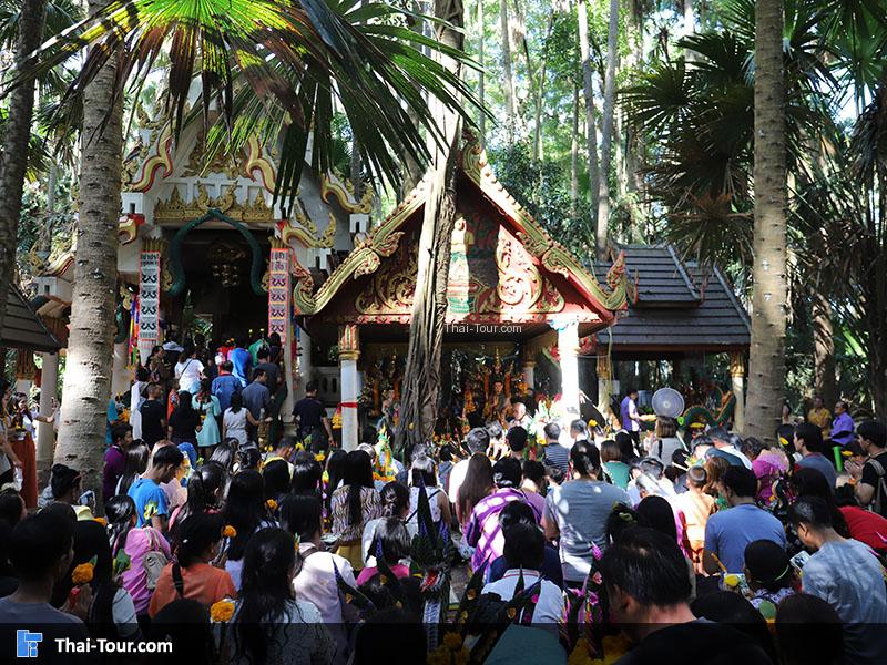 คำชะโนด