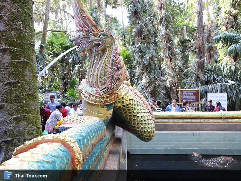 คำชะโนด