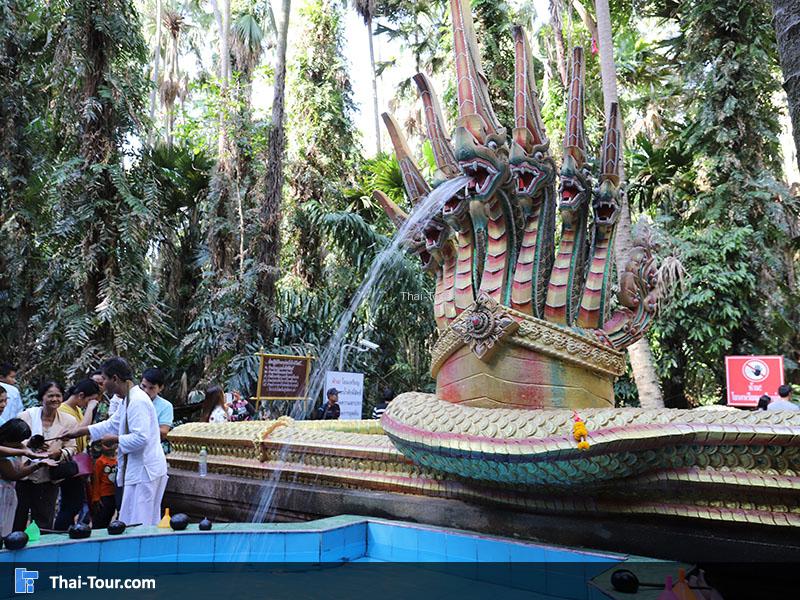 คำชะโนด