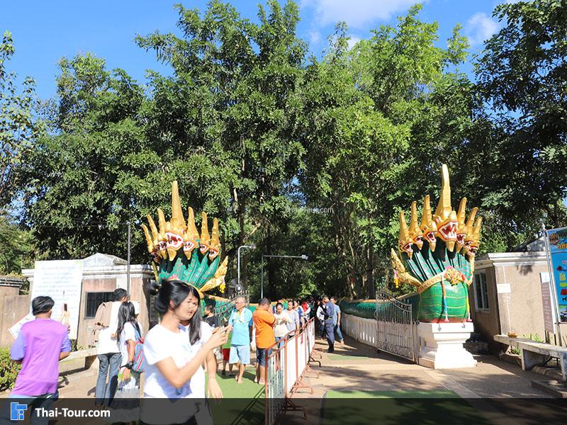 คำชะโนด