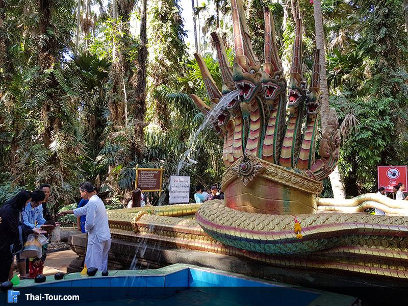 คำชะโนด