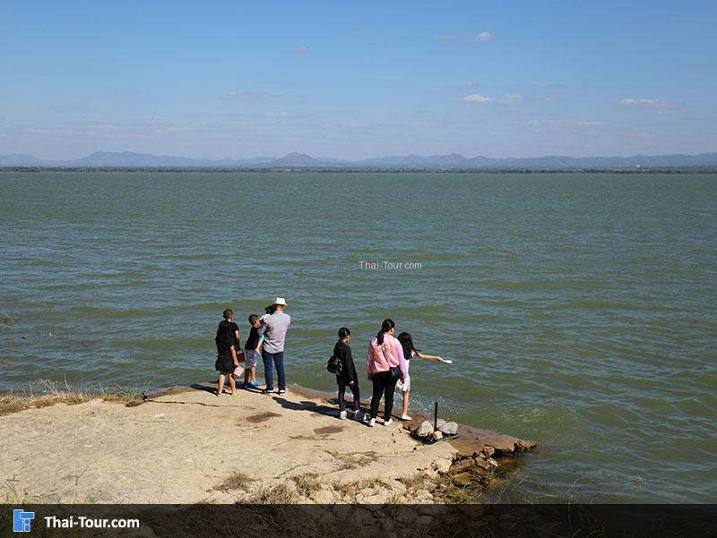 เขื่อนป่าสักชลสิทธิ์ 