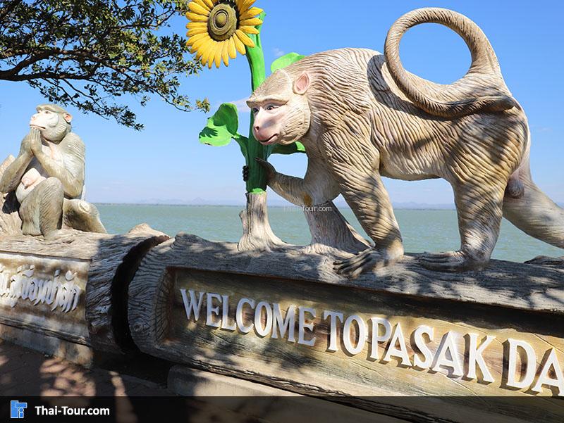 มุมถ่ายภาพ เขื่อนป่าสักชลสิทธิ์ อ