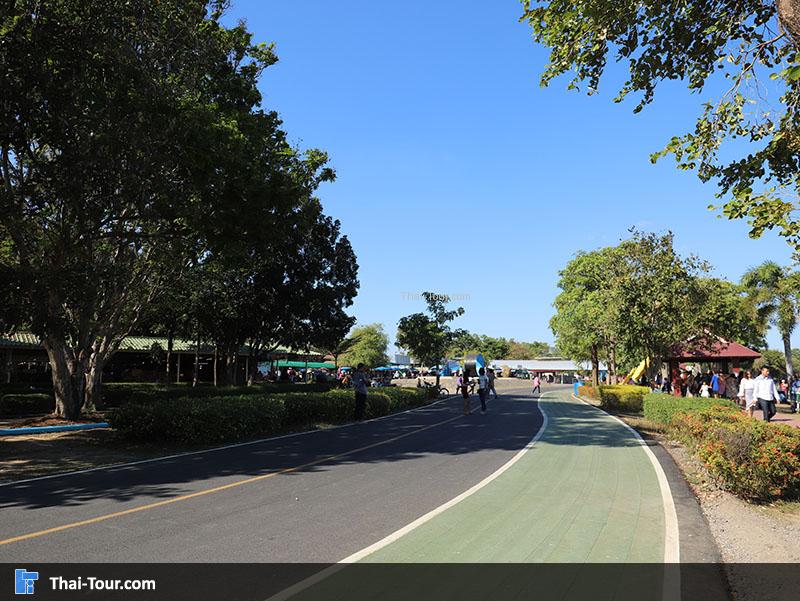 ถนนของ เขื่อนป่าสักชลสิทธิ์ 