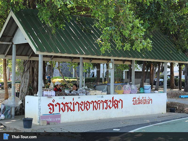 จุดบริการอาหารปลา