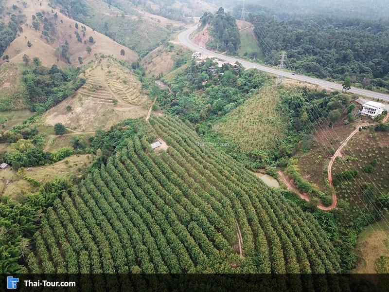 วิวไร่ ใกล้ๆ รูท 12