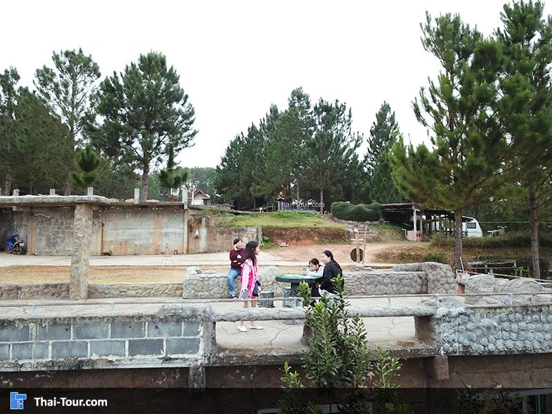 มุมถ่ายภาพเก๋ๆ