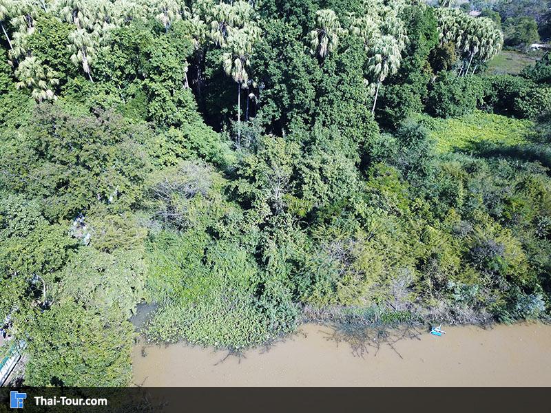 ภาพมุมสูงๆ สวยๆ 