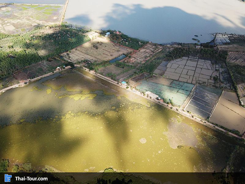 ภาพมุมสูงๆ คำชะโนด