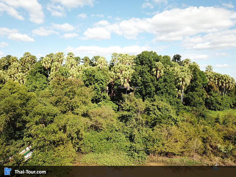 ภาพมุมสูงๆ คำชะโนด