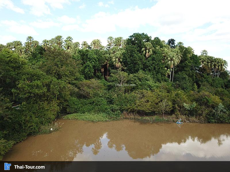 ภาพมุมสูงๆ คำชะโนด