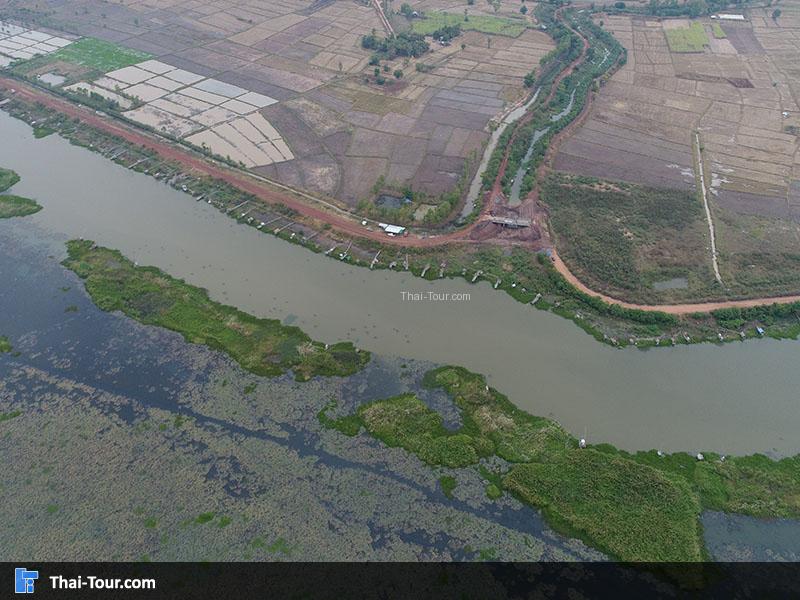 ภาพมุมสูงด้านบนของบึงบัว