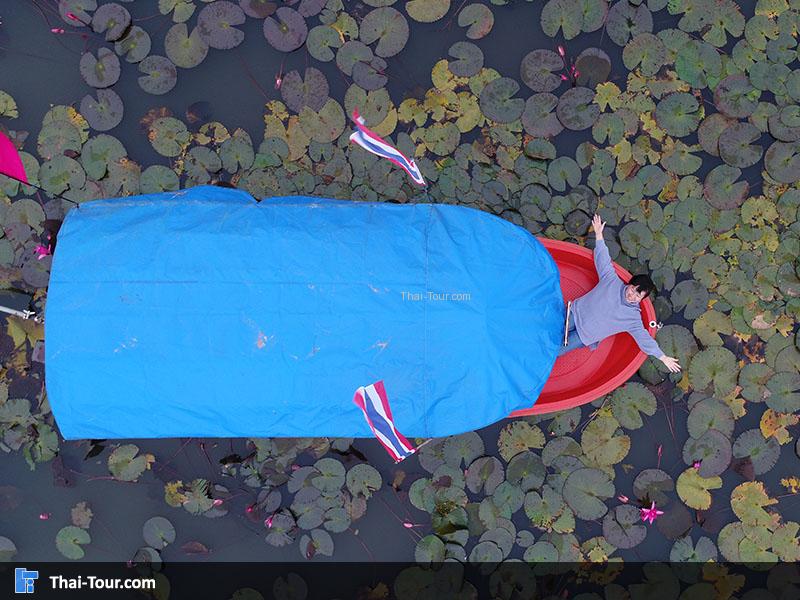 ภาพมุมสูงด้านบนของบึงบัว