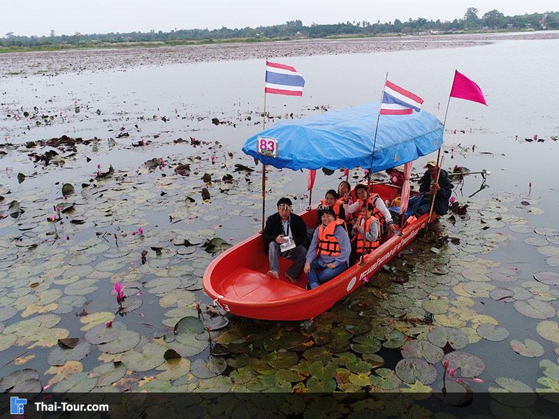 บึงบัวบริการนักท่องเที่ยวที่แสนอบอุ่น