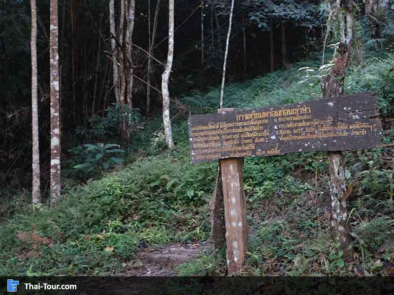 ข้อควรอ่าน