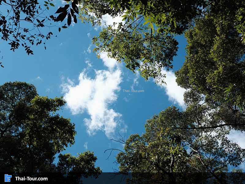 วิวท้องฟ้า