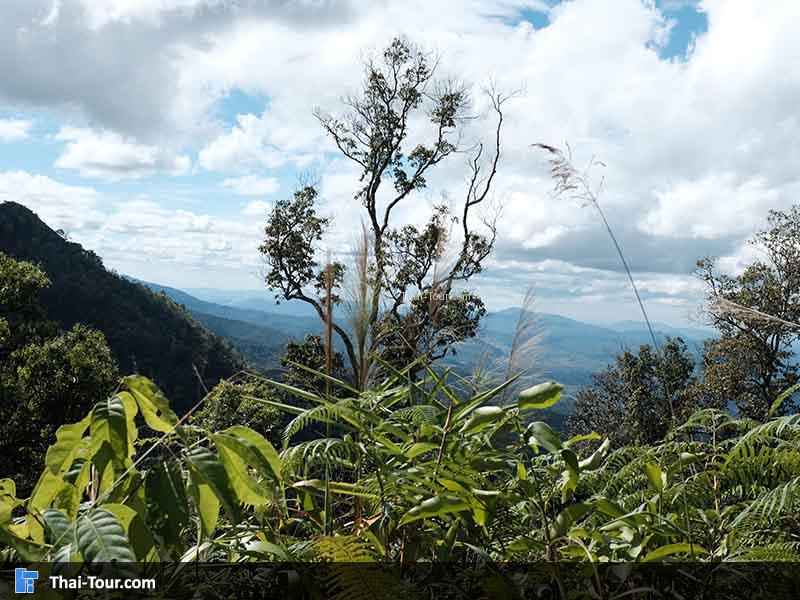 หลังจากดิ่มกันอิ่มแล้วเราก็เริ่มออกเดินทางกันเลย