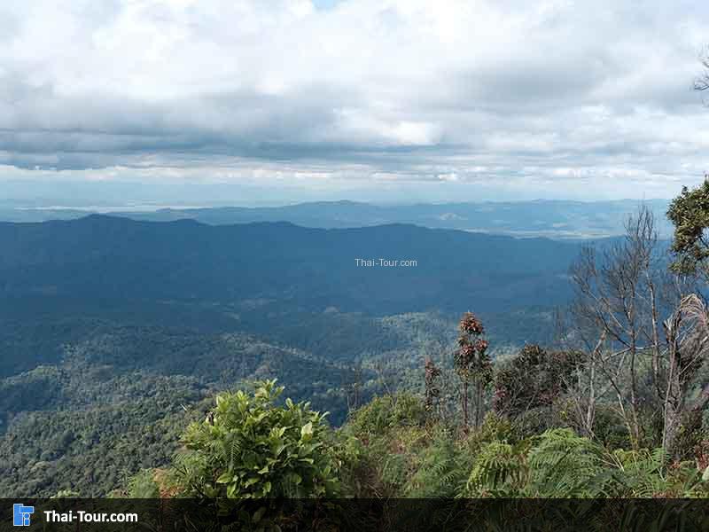 วิวด้านบนสวยๆ