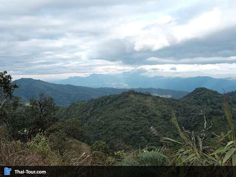 วิวแบบนี้เราอดทนเพื่อเดินขึ้นมาชม