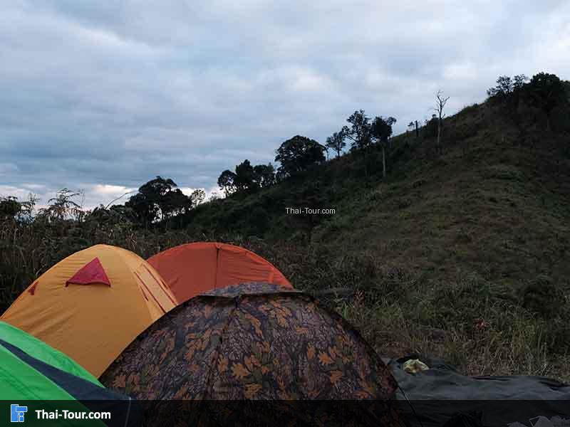 ลานกางเต้นท์