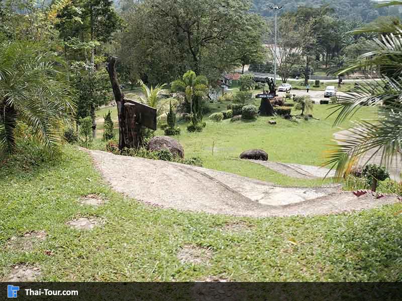 สวนหย่อมเล็กๆ