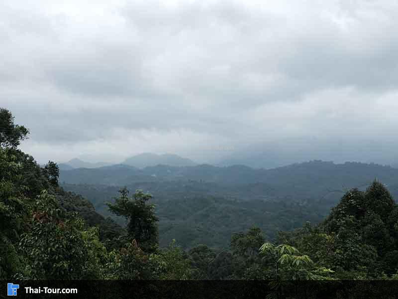 ภาพแรกที่เราขึ้นไปด้านบนคือไม่มีหมอกเลย