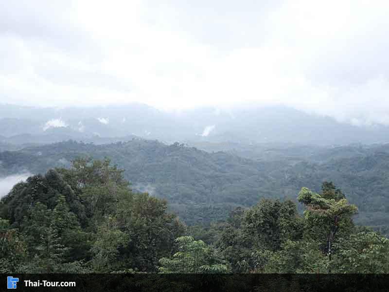 นั่งรอทะเลหมอกต่อไป