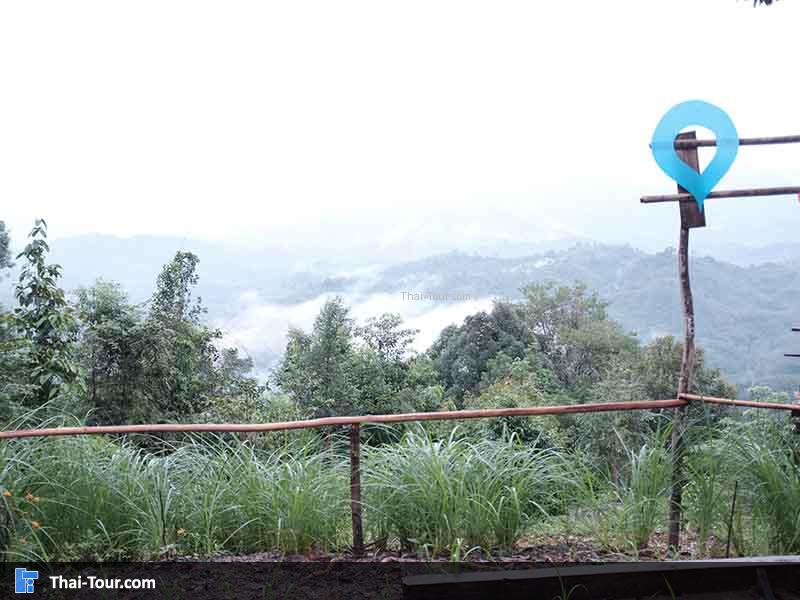 ทะเลหมอกเริ่มมาละ หลังจากนั้นเข้าพักผ่อน