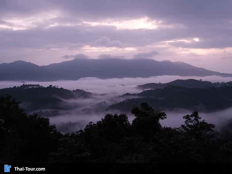 ทะเลหมอกยามเช้า