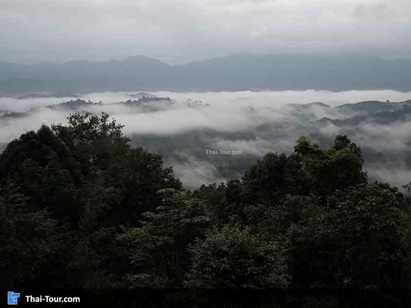 ทะเลค่อยๆ ลาหาย