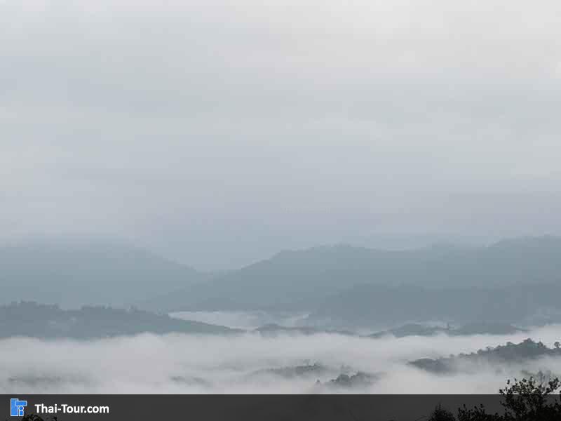 แล้วทะเลหมอกก็กลับมาใหม่อีกครั้ง