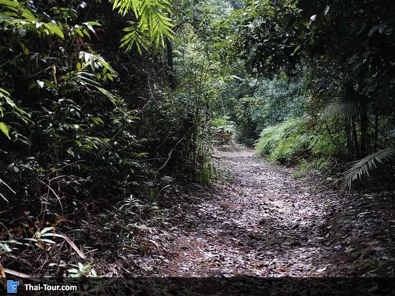 เส้นทางที่เรากำลังเดินนั้นไม่รู้ว่าหนทางข้างหน้าจะเป็นยังไงบ้างเลยนะ