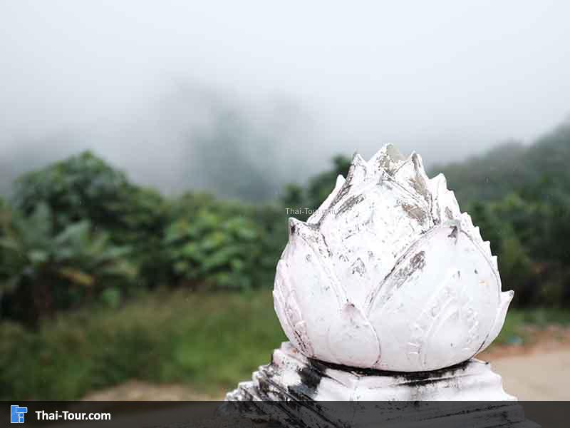 วิวทะเลหมอกล้อมรอบวัดภูเขาทอง