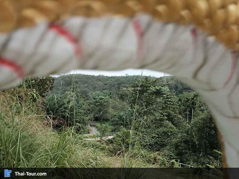 รุูปบรรยากาศรอบๆ ศาลเจ้าแม่โต๊ะโมะ สุคิริน